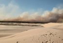 Bombeiros combatem incêndio em área de reflorestamento no Litoral Norte
