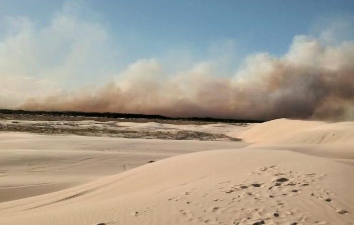 Bombeiros combatem incêndio em área de reflorestamento no Litoral Norte