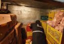 Segurança Alimentar: operação interdita estabelecimentos em Imbé