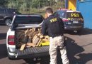Traficante é preso com 266 kg de maconha e dois kg de pasta base de cocaína em Osório