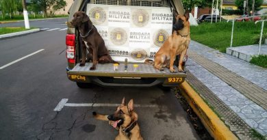 Cães de faro localizam drogas dentro de malas na rodoviária de Osório