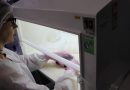 Descartados os cinco casos suspeitos para coronavírus no Litoral