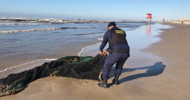 Senado discute impactos negativos da pesca de arrasto no litoral gaúcho