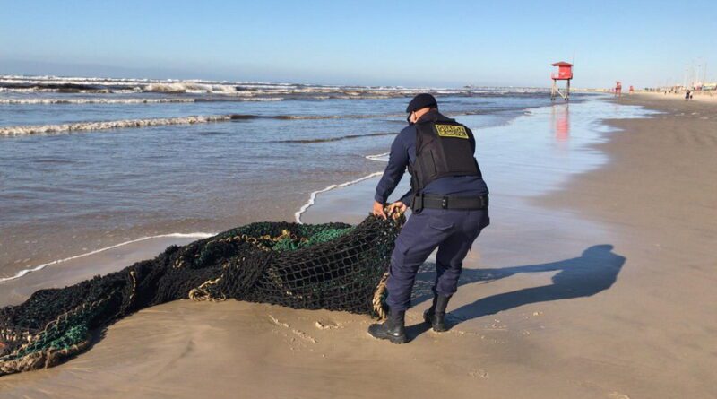 Senado discute impactos negativos da pesca de arrasto no litoral gaúcho