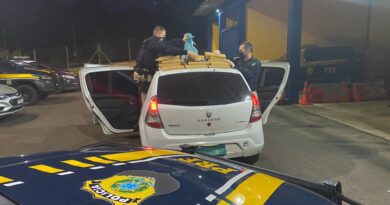Traficante é preso pela segunda vez em menos de um ano em Osório: tinha quase 40k de maconha