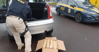 PRF prende traficante transportando 25 quilos de maconha na BR-101