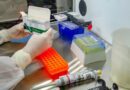 Covid-19: Anvisa autoriza testes para nova vacina no RS