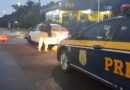 Traficante é preso com mala cheia de maconha em Osório