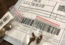 Estado alerta para recebimento de pacotes com sementes não identificadas do exterior