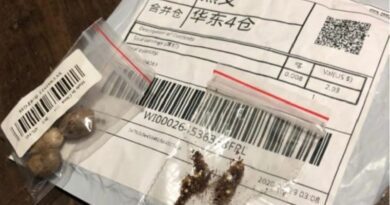 Estado alerta para recebimento de pacotes com sementes não identificadas do exterior