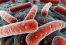 China: bactéria vazada de laboratório contamina mais de 3000 pessoas