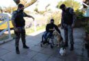 Canil do 8ºBPM ensina menino portador de deficiência congênita a adestrar sua cachorra