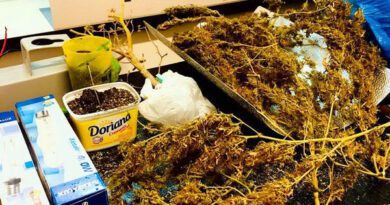 BM desmantela laboratório clandestino de drogas em Torres