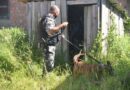 Rápida ação da polícia prende criminosos e evita execuções no Litoral