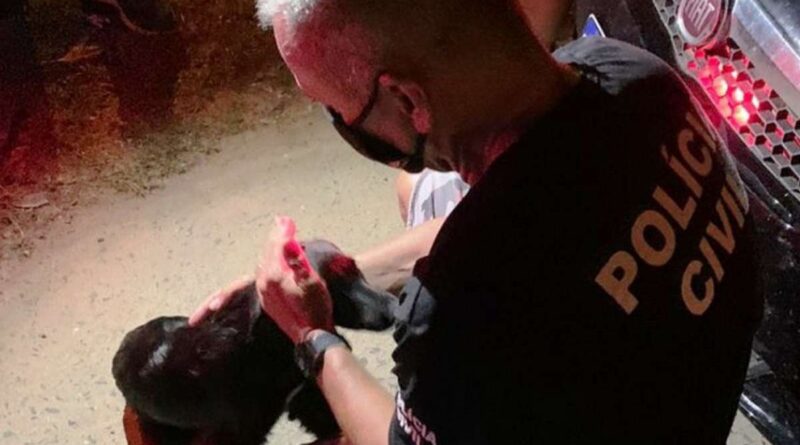 Homem é preso após jogar cão por cima de muro durante discussão em Capão da Canoa