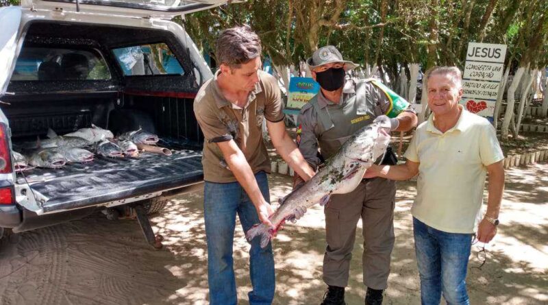 PATRAM apreende peixes da espécie Bagre em Tramandaí
