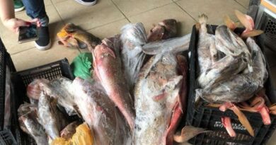 Ação interdita comércios e recolhe 1,1 tonelada de produtos em Tramandaí