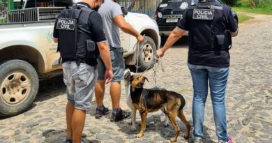 Cães em grave situação de maus tratos são resgatados em Osório