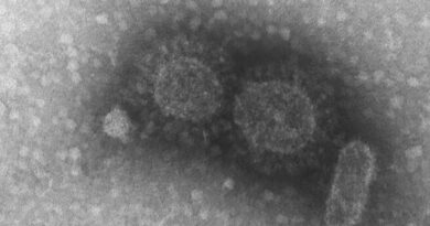 Preocupação com a Delta: hospital da capital tem surto de coronavírus e restringe atendimentos