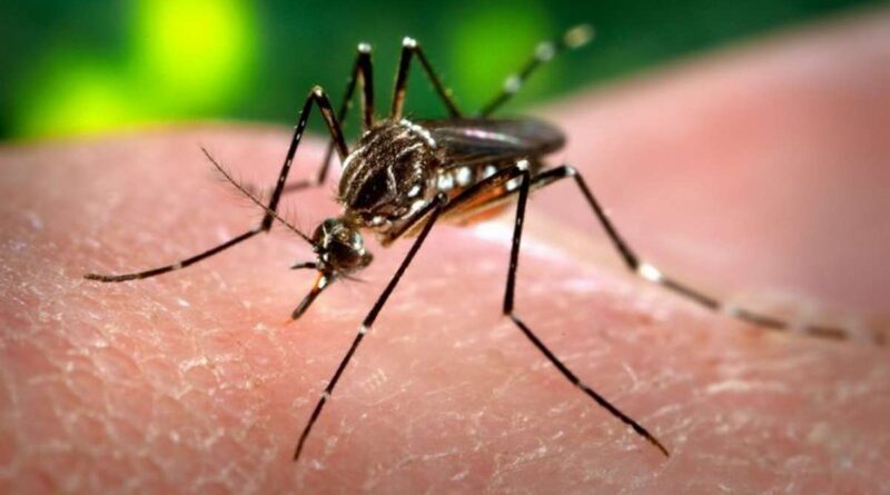 Cidade do Litoral confirma 1° caso de Zika vírus