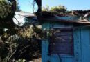 Bombeiros removem árvore que caiu sobre residência em Tramandaí