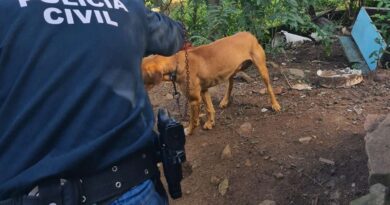 Homem é preso por maus tratos a cães em Osório