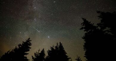 Chuva de meteoros Perseidas pode ser vista hoje no Brasil