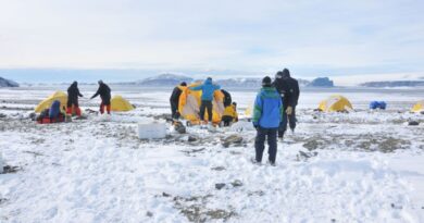 Pesquisadores fazem descoberta inédita na Antártica