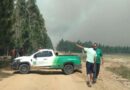 Incêndio que devasta área florestal ameaça residências e tráfego na RSC-101