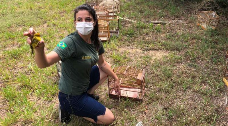 Dezenas de aves que eram mantidas em cativeiro são soltas no Litoral