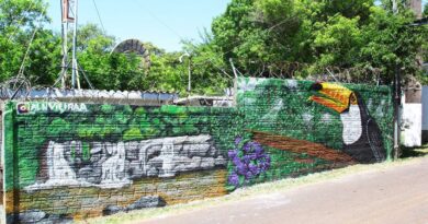 Pinturas em grafite é realizada no Morro da Borússia