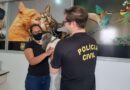 Veranista será indiciado ao recusar entregar cão que havia se perdido