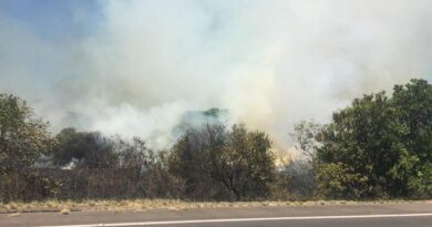 Incêndio bloqueia RS-040 em Capivari do Sul