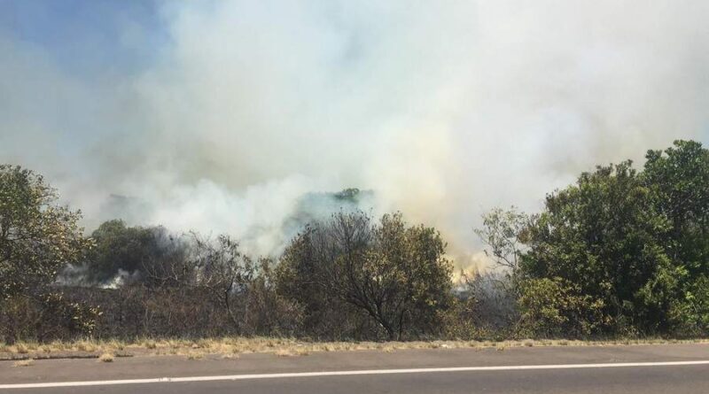 Incêndio bloqueia RS-040 em Capivari do Sul