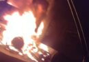 Porcos morrem após caminhão pegar fogo em Osório