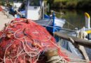 Justiça proíbe pesca da tainha com redes de emalhe anilhado
