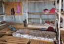 Condições análogas à escravidão: granja faz acordo após ter trabalhadores resgatados