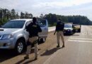 Criminoso é preso logo após furtar caminhonete na BR-290