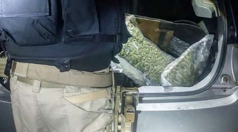 Motorista é preso com 1kg de super maconha na BR-290