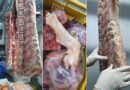Fornecedor de carne para o Litoral tem quase 400kg apreendido