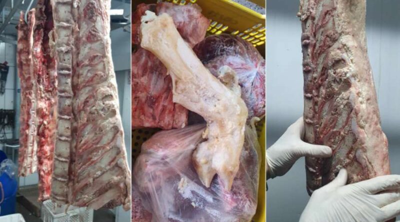 Fornecedor de carne para o Litoral tem quase 400kg apreendido