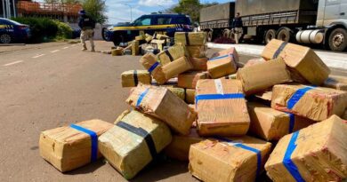 Prejuízo de milhões aos traficantes: 3 toneladas de maconha são apreendidas no RS