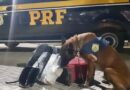 Cães farejadores localizam maconha e cocaína em ônibus na freeway