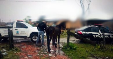 Homem é intimado e interrogado por maus tratos a cavalo em Osório