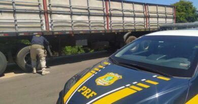 Caminhoneiro é preso com placa clonada na freeway