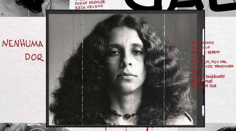 Morre a cantora Gal Costa