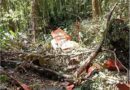 Confirmada morte de militares a bordo de avião que desapareceu em SC