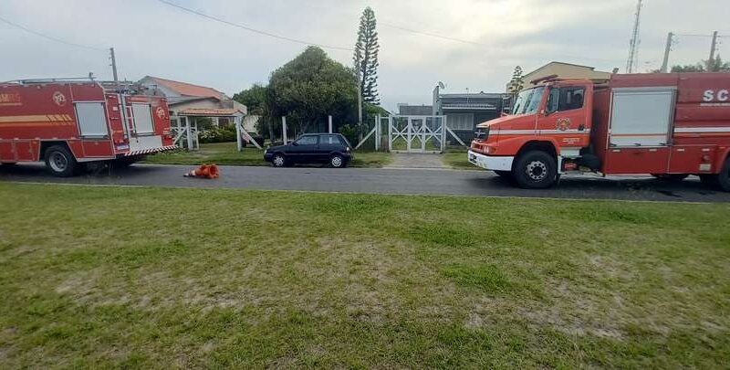 Casal de idosos sofre ataque de abelhas em Balneário Pinhal