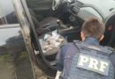 Motorista de aplicativo é preso com mix de diversas drogas fracionadas para a venda na Freeway