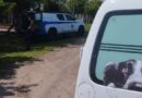 Rottweilers que atacavam pedestres são resgatados em Imbé